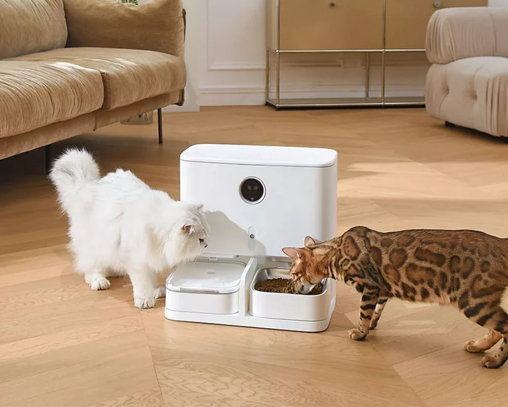 best automatic cat feeder with camera
